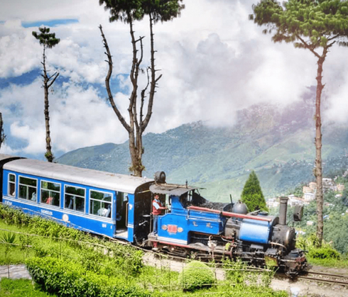 Darjeeling Tour