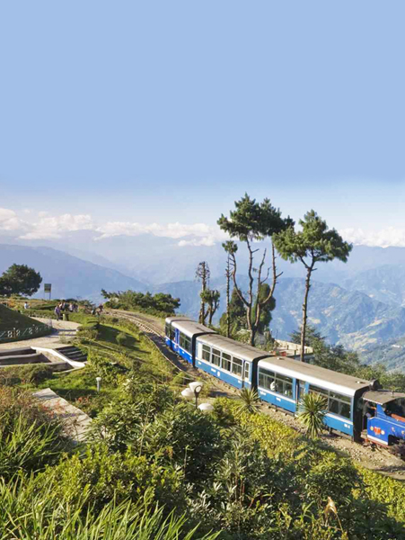 Darjeeling Tour