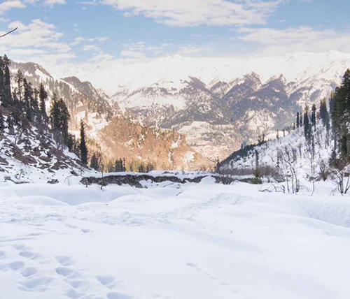 Himachal Tour
