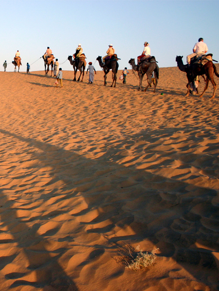 Rajasthan Tour