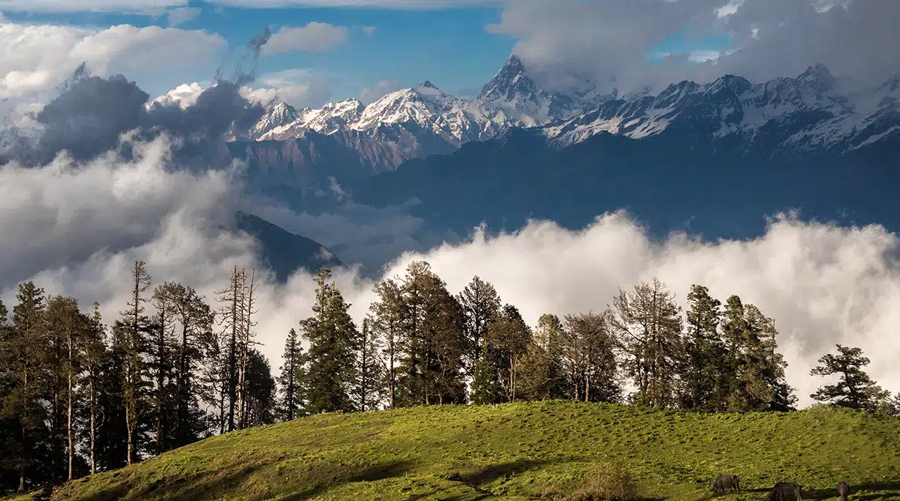 Uttarakhand Tour